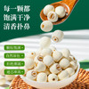 半山农莲子去芯 300g 干货白莲子 湘潭特产祛火降噪百合银耳桂圆煲汤 /粮油调味 /南北干货 /果茎食补干货 商品缩略图6