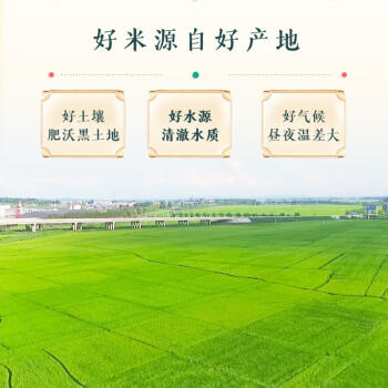 柴火大院 当季新米 五常粥米 4斤（东北大米 香米 杂粮伴侣 四斤） /粮油调味 /米 /粥米 商品图2