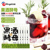 安琪果酒酵母3g*5家用自酿葡萄酒发酵菌粉荔枝蓝莓桑葚杨梅水果酒曲子 /粮油调味 /烘焙原料 /酵母/发酵粉 商品缩略图3