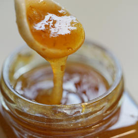 何田田 青梅酱纯青梅熬制酸甜可口略带咸味调水调味蘸料