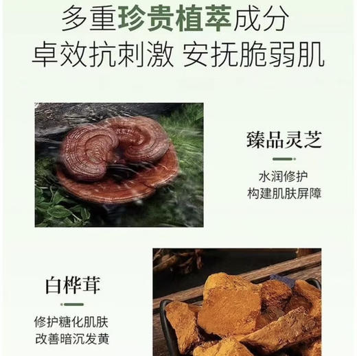 悦木之源 · 韦博士灵芝焕能精华水 菌菇水 爽肤水 湿敷维稳保湿补水100ml 商品图4