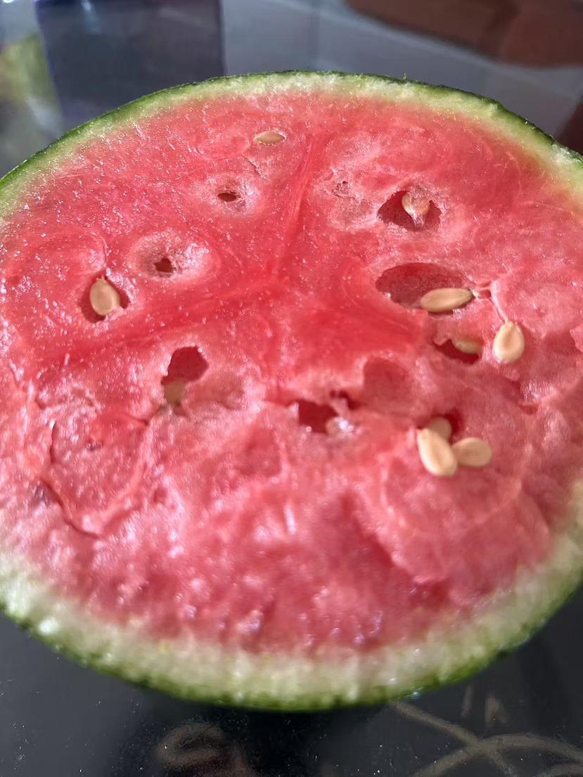 [庞各庄小吊瓜]头茬，甜蜜脆爽汁水饱满  如风生活特惠，2粒，约9-10斤