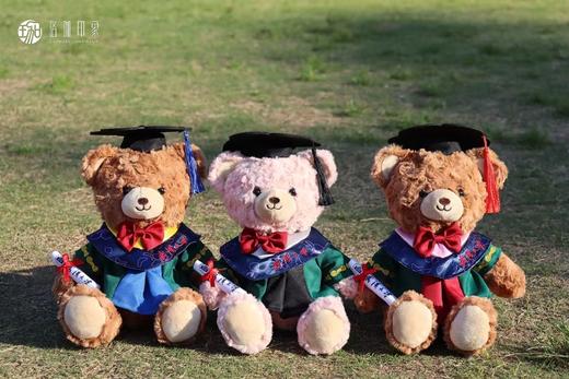 武大珞珈毕业小熊 商品图8