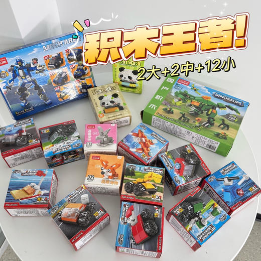 【积分】品牌积木 2大2中12小盒 兼容乐高 商品图7