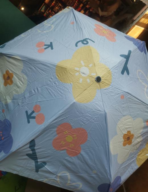 栀遇五折伞ZY8506 商品图0