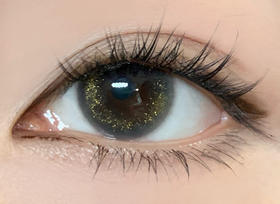 Golden gray鎏金奶茶灰·半年抛型