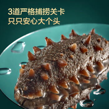 京东京造 大连有机干海参250g 含盐量不高于40% 辽刺参 干货礼盒 年货送礼 /粮油调味 /南北干货 /干海参 商品图2