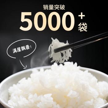 小站稻小站稻24年新米小站稻大米10斤日思长粒香天津现磨一级粳米香米 /粮油调味 /米 /长粒香米 商品图1