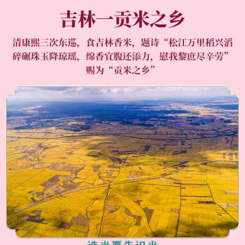 十月稻田 2025年新米 香稻贡米 东北大米 10斤（香米 粳米 5公斤/十斤） /粮油调味 /米 /小町米 商品图5
