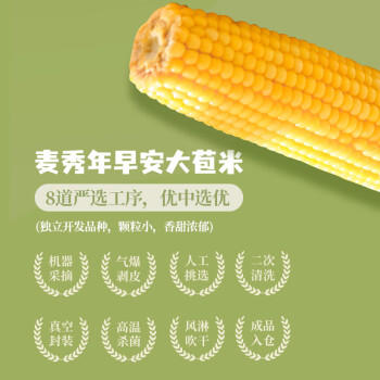 麦秀年早安大苞米东北黄糯玉米2.4斤200g*6穗软糯香甜真空家庭装早餐 /粮油调味 /杂粮 /谷米类 商品图3