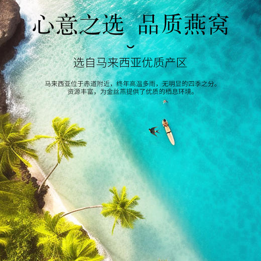 【正宗同仁堂品牌】北京同仁堂 造养青年 干燕窝(金标款) 50克 马来西亚原产 干盏溯源干燕盏 送长辈孝敬父母 孕妇滋补礼品SY 商品图3