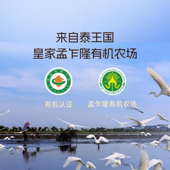 孟乍隆皇家 有机泰国茉莉香米 大米20斤(5kg*2) 新米 原装进口 长粒米 /粮油调味 /米 /泰国香米 商品图5