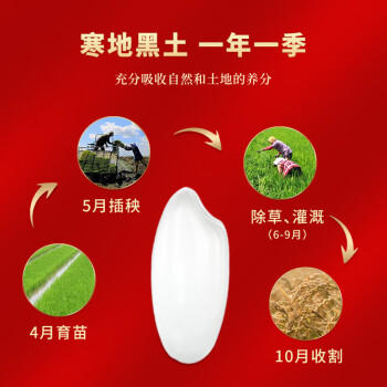 三人行 延寿大米 有机稻香米10斤  真空包装 有机 东北大米 24年新米  /粮油调味 /米 /稻花香米 商品图5