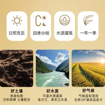 花中花 银丝香米 20斤 南方大米 当季新稻 长粒米香米 籼米 20斤 /粮油调味 /米 /其他大米 商品图4