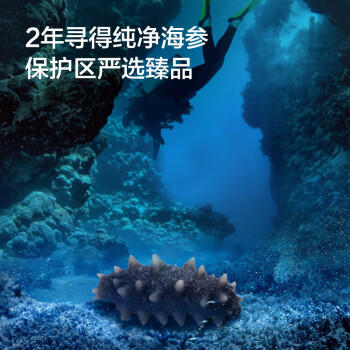 京东京造 大连有机干海参250g 含盐量不高于40% 辽刺参 干货礼盒 年货送礼 /粮油调味 /南北干货 /干海参 商品图7