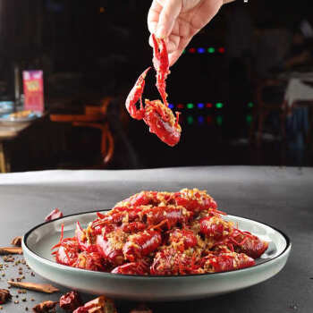 北萃 剁椒蒜蓉酱 500g蒜泥酱 烧烤小龙虾生蚝调料 烧烤烤肉蘸料 /粮油调味 /调味品 /中式酱料 商品图2