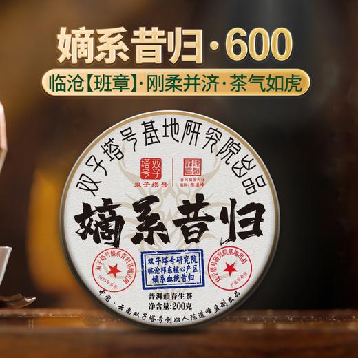 2025年头春嫡系昔归600古树陈道峰大师监制 商品图0