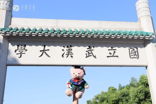 武大珞珈毕业小熊 商品图7