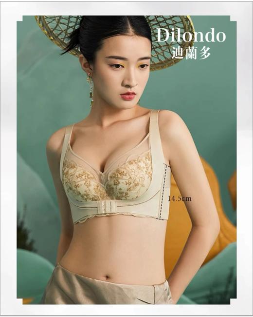 新款小仙托中厚杯内衣小胸显大聚拢防下垂收副乳舒适调整文胸2118452 商品图5
