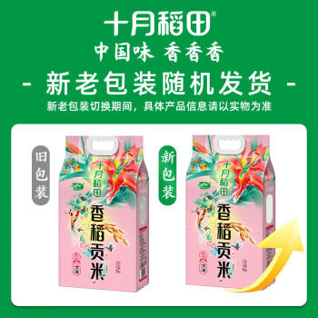 十月稻田 2025年新米 香稻贡米 东北大米 10斤（香米 粳米 5公斤/十斤） /粮油调味 /米 /小町米 商品图2