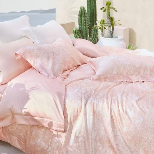 【6F】罗莱·雅 柔心绮丽 TS1268-4 商品图3