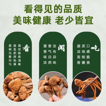 渔欣仙茶树菇250g 蘑菇菌菇食用菌山珍特产炒菜火锅煲汤材料湖南特产 /粮油调味 /南北干货 /菌菇干货 商品图2