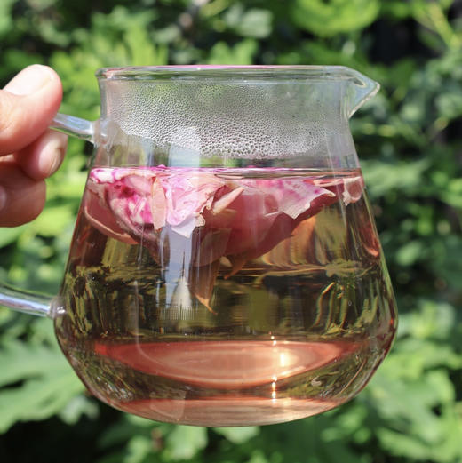 【玫瑰花茶】天然/无农药 商品图1