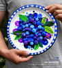 《果实里的颜色魔法：一盘甜甜的蓝莓》轻粘土手工低幼【自动发货：下单后，点击手机短信中收到的链接，即可获取文件下载的链接；如有任何问题，可添加客服微信hm33268获得帮助】 商品缩略图0