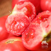 生态河南西红柿 | 合作生产*Eco- tomato | Coprodution 商品缩略图0