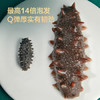 京东京造 大连有机干海参250g 含盐量不高于40% 辽刺参 干货礼盒 年货送礼 /粮油调味 /南北干货 /干海参 商品缩略图8