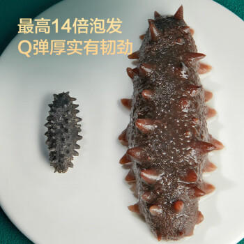 京东京造 大连有机干海参250g 含盐量不高于40% 辽刺参 干货礼盒 年货送礼 /粮油调味 /南北干货 /干海参 商品图8