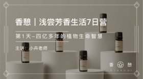 第1天︱四亿多年的植物生命智慧