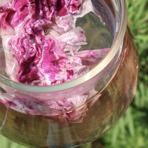 【玫瑰花茶】天然/无农药 商品图3