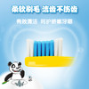 丽齿健儿童牙刷/4支装/适用2岁以上/原产地:德国 商品缩略图10