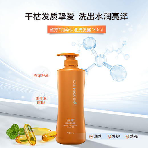 丝婷润泽保湿洗发露/适用干枯毛燥发质/富含石栗籽油滋养精华/维生素原B5 商品图6