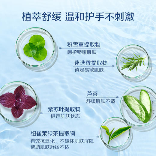 安利必速洗手液/可破坏有害菌细胞膜/净手护手/可用约1年 商品图2