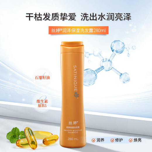 丝婷润泽保湿洗发露/适用干枯毛燥发质/富含石栗籽油滋养精华/维生素原B5 商品图1