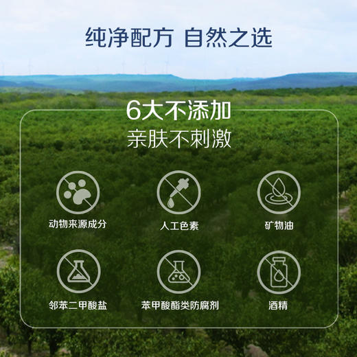 雅蜜清爽香体走珠止汗露/白茶越橘萃取/清洁收敛滋养可用1年 商品图8