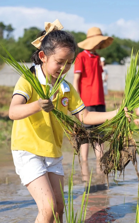 【五月插秧季】稻田插秧、DIY草帽、定向任务挑战、成为环保志愿者，开启欢乐插秧节