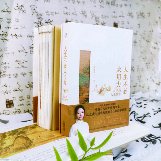 人生不必太用力 庄子的人生哲学  焦虑内卷自救指南 走出焦虑人生 商品图6