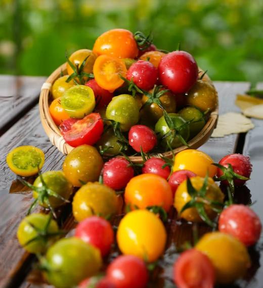 【BF】多色小番茄500g/36.8元 商品图0