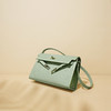 【预售3天】腋下凯莉包蜥蜴纹女包2025新款欧美时尚高级感单肩斜挎法棍包F9667B 商品缩略图1