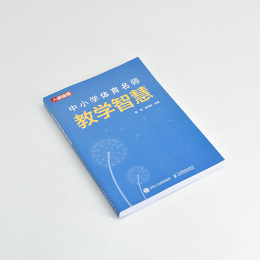 中小学体育名师教学智慧 商品图1