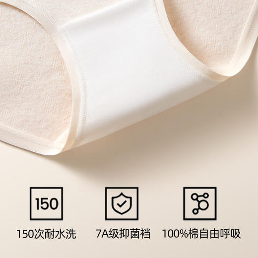 XY-1390  【1条】a类婴儿棉内裤女士纯棉三角裤全棉抗菌裆女式中腰少女生透气 商品图2