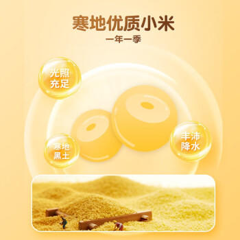 健稚 无小麦小米大米饺子粉无麸质无蛋儿童饺子面条馄饨主食面粉2盒 /粮油调味 /面粉 /通用粉 商品图6