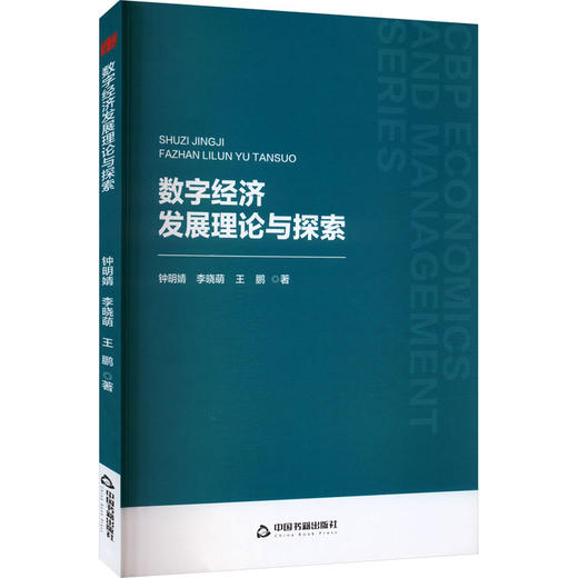 数字经济发展理论与探索 商品图0
