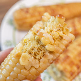 版纳香糯小玉米