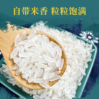 十月稻田 当季新米 寒地之最 五常大米 5kg*2/箱装（东北大米 20斤） /粮油调味 /米 /稻花香米 商品图2
