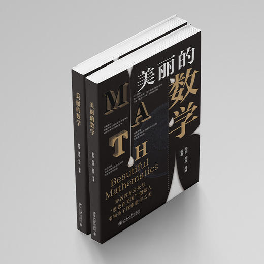 美丽的数学 商品图1