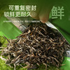 陈升号 2025年勐海散茶200g（生茶） 商品缩略图5